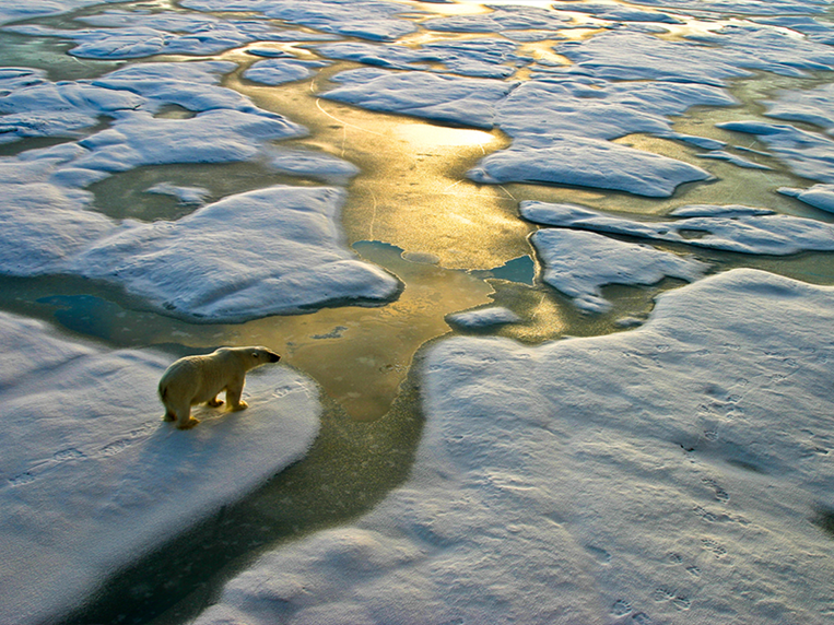 Empresas e alterações climáticas missão continente